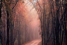 东升国际官网：19岁泰拳小霸王不听裁判劝阻，白近斌临门一脚，把他踢进抢救室.