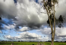 东升国际官网：杭州文旅：凭世预赛门票，可在杭州享受97家酒店及181个产品优惠.