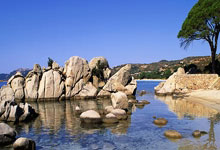 东升国际官网：CBA常规赛浙江方兴渡宁波町渥.